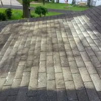 Roof Washing